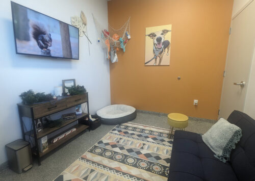 Photo of an exam room at a fear-free practice