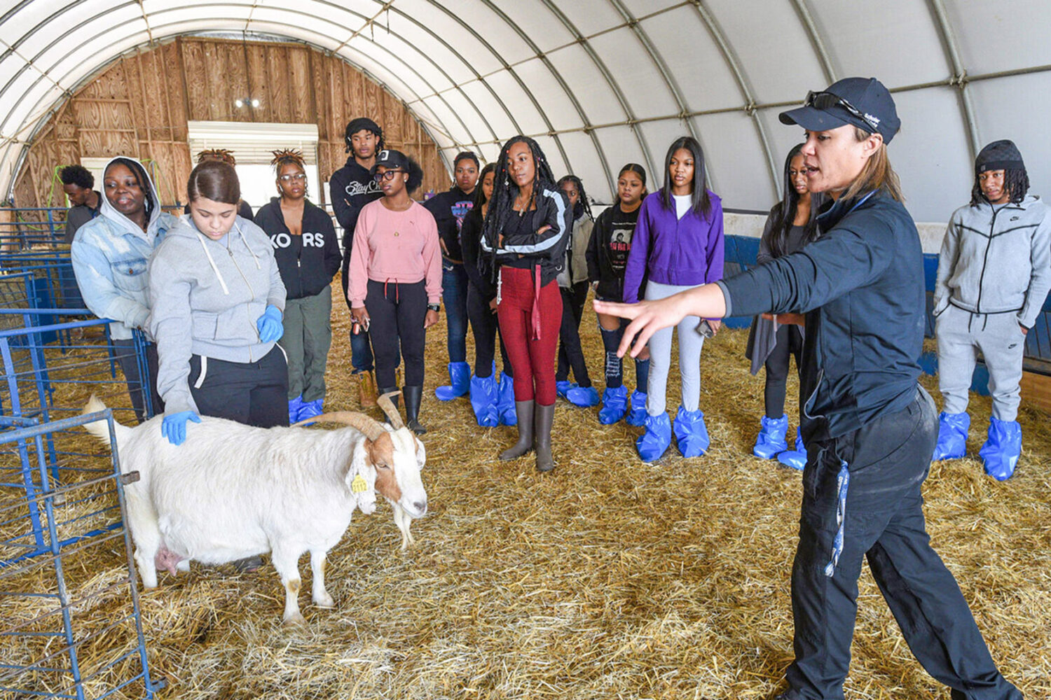 Instructor talking to a group of veterinary students and pointing to a goat