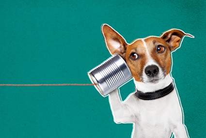 Graphic depiction of a dog holding a tin can on a string