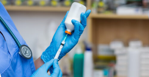 Veterinary technician drawing propofol into a syringe