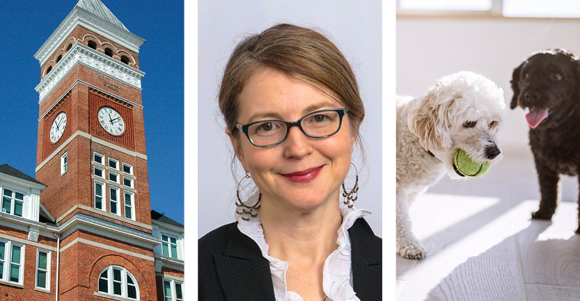 3 images: Clemson University, Elizabeth Strand, PhD, LCSW, and 2 dogs playing with a tennis ball