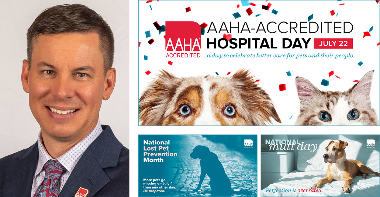 P. Adam Hechko, DVM and various images from the July publicity toolbox