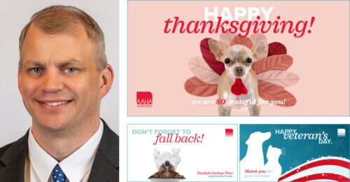 Mark Thompson, DVM, CCRP and various images from the November publicity toolbox