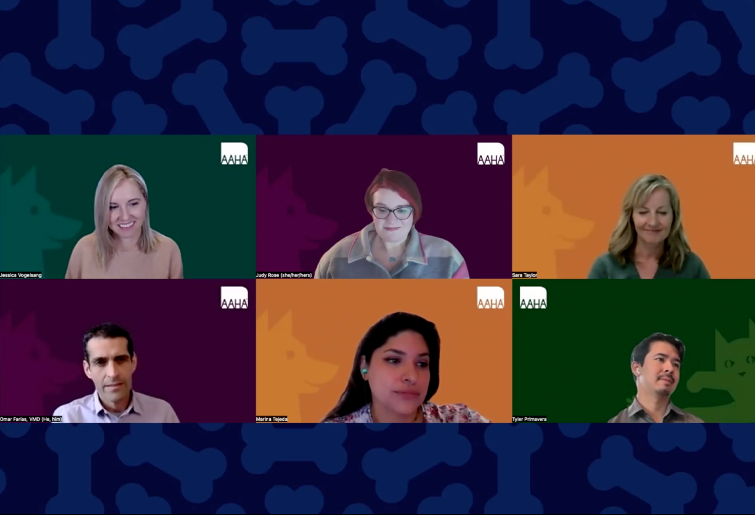 a screenshot of the panel from AAHA's cultural competency webinar