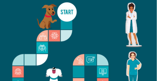 Illustration of a veterinary board game to represent the rules of an employee handbook