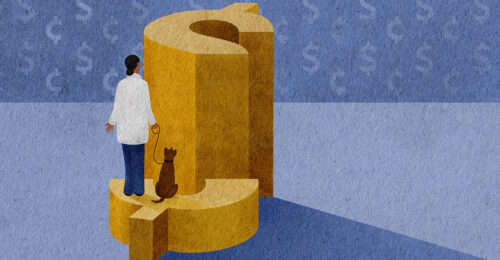 Illustration of a dollar sign cut in half and woman with a dog standing on the lower side.