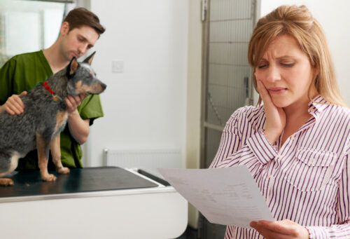 A client looking worried while holding a vet bill. A veterinary team member is with her dog in the background.