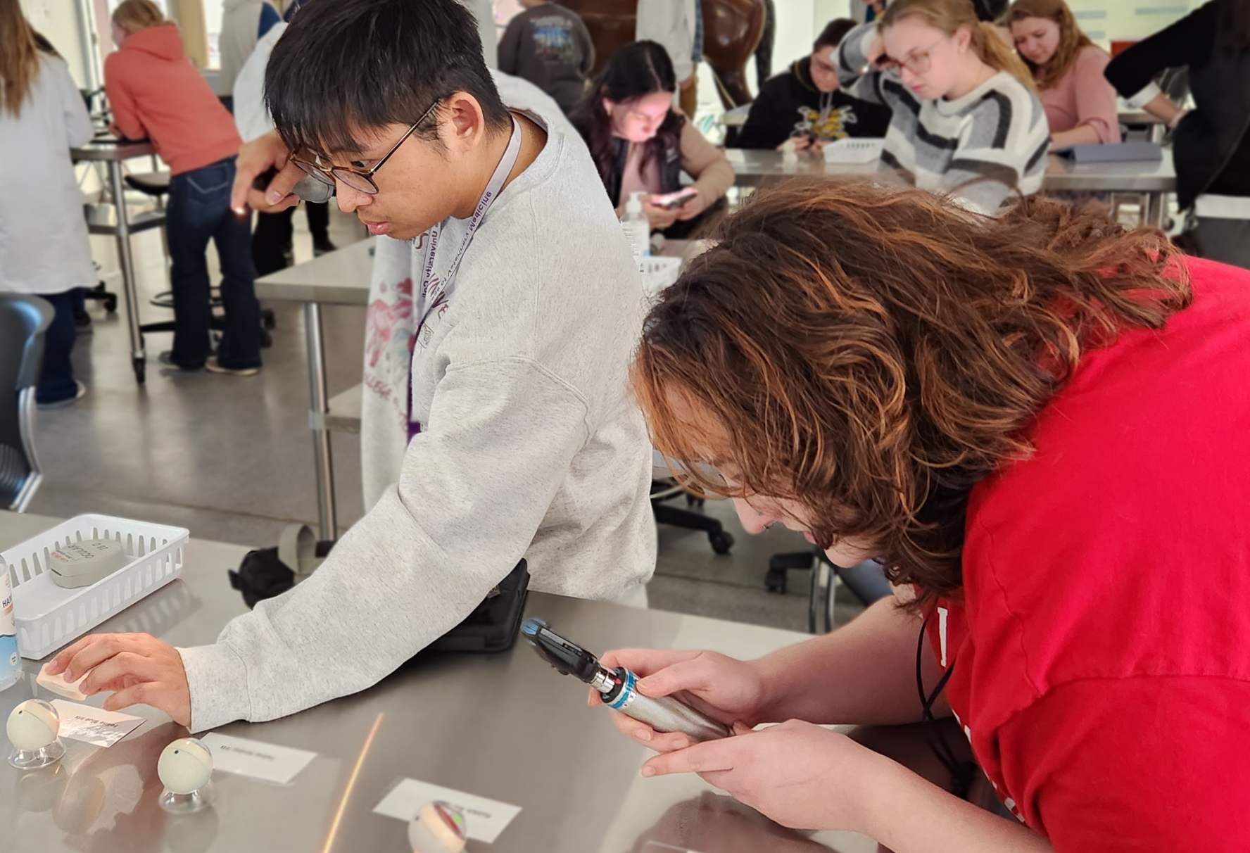 Veterinary students studying 3D-printed eyes