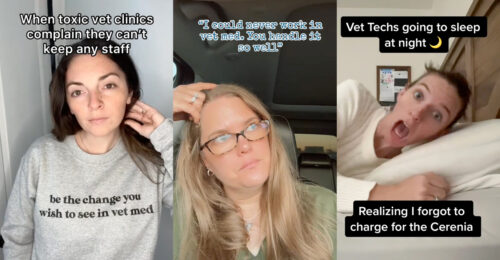 TikTok memes of 3 vet tech social media influencers: Emily Ahsan, CVT, Shena Humbert, LVT, and Sarah Parsons, LVT