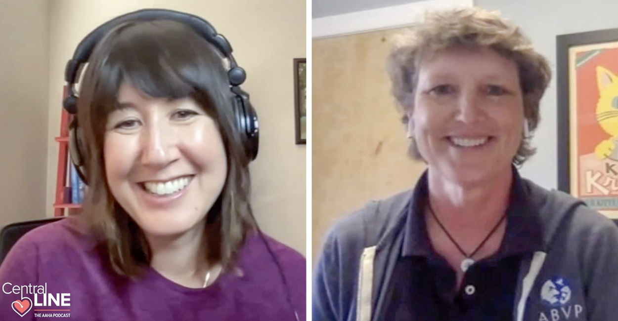 Still of a Central Line recording with Katie Berlin, DVM, and Renee Rucinsky, DVM, DABVP (Feline) as they discuss Bexacat