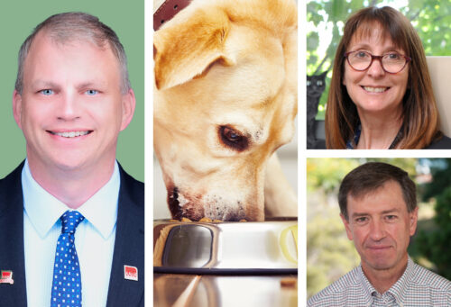 3 photos: AAHA president, Mark Thompson, DVM, CCRP, a hungry yellow lab salivating as he eats kibble, and photos of Katrina Mealey, DVM, PhD, DACVCP, DACVIM, and Rance Sellon, DVM, PhD, DACVIM.