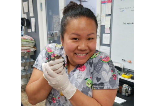 Employee if the month, Mabel Ng, RVT
