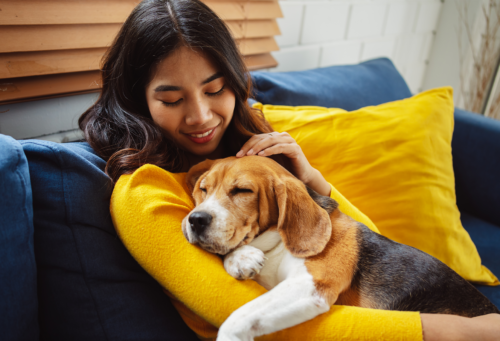 woman holding a dog in her lap and the dog is sleeping