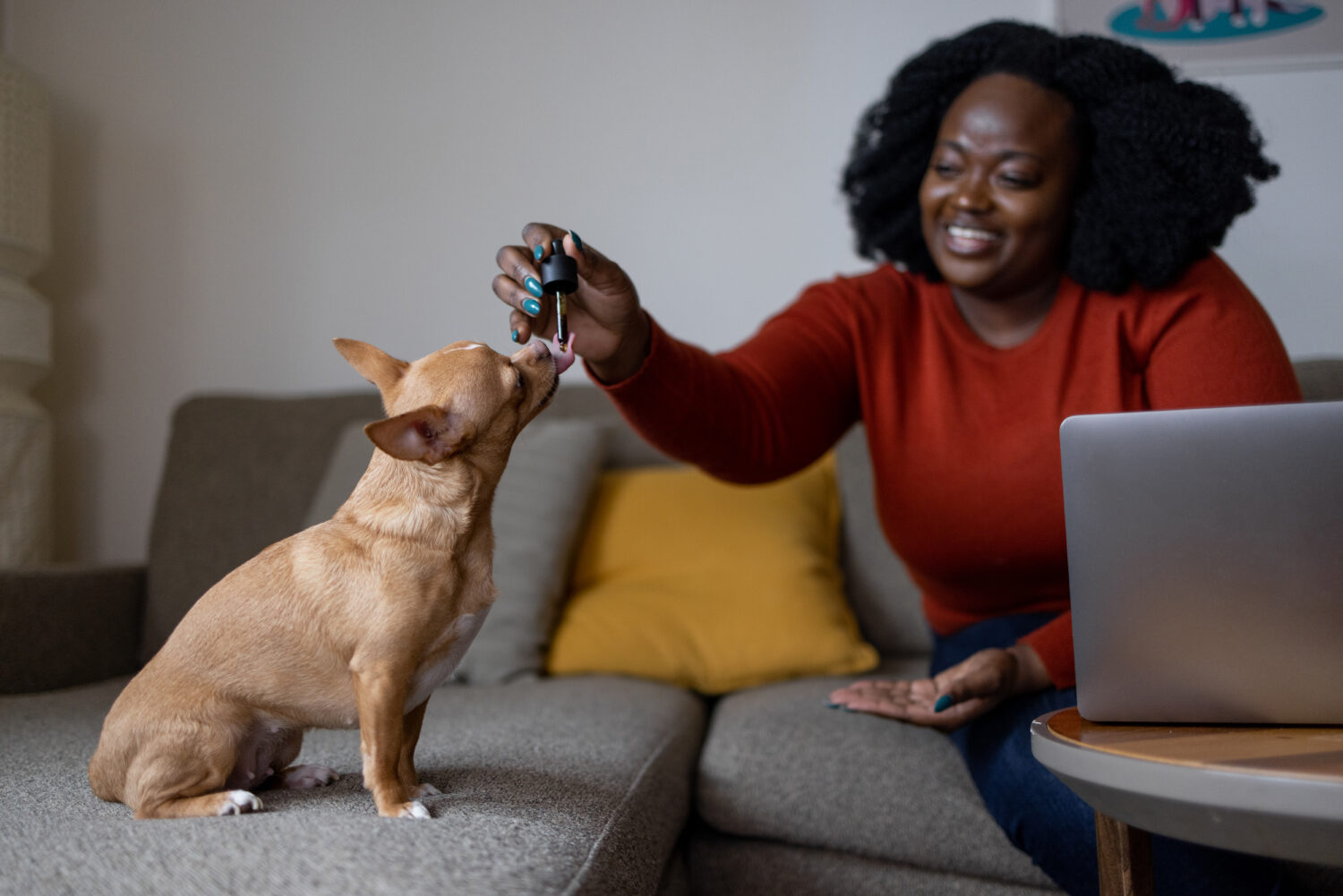 Plus-size female giving CBD oil to dog