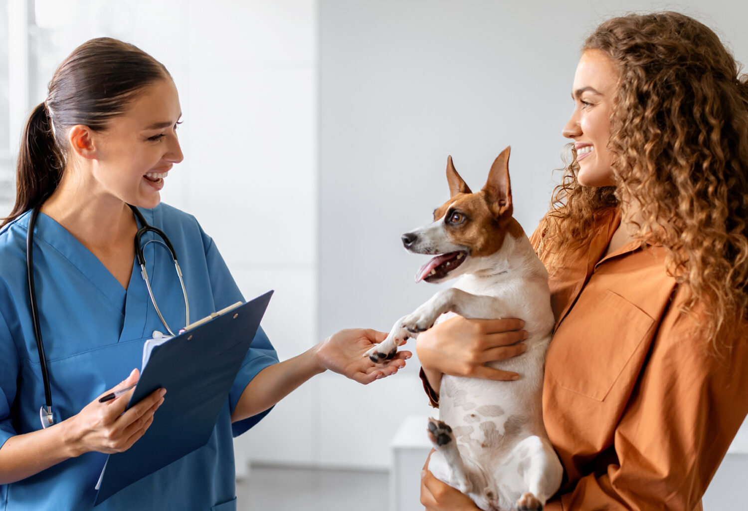 vet and pet owner talking