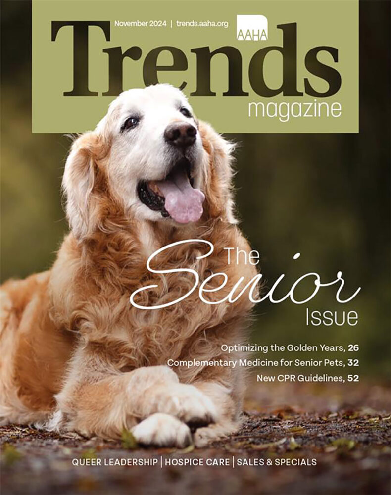 November 20244 Trends Cover