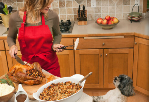 Pet safe Thanksgiving foods