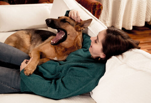 Dog with cancer cuddling with owner on couch