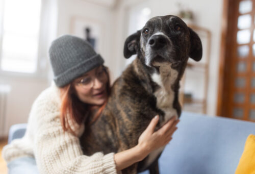 Woman hugging dog on Thanksgiving