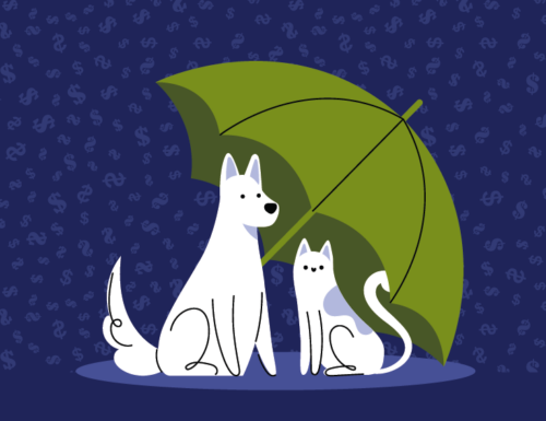Illustration of cat and dog under umbrella
