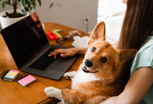 Woman with computer and dog