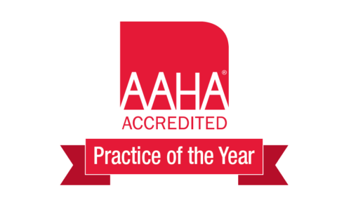AAHA Accredited PRactice of the Year badge