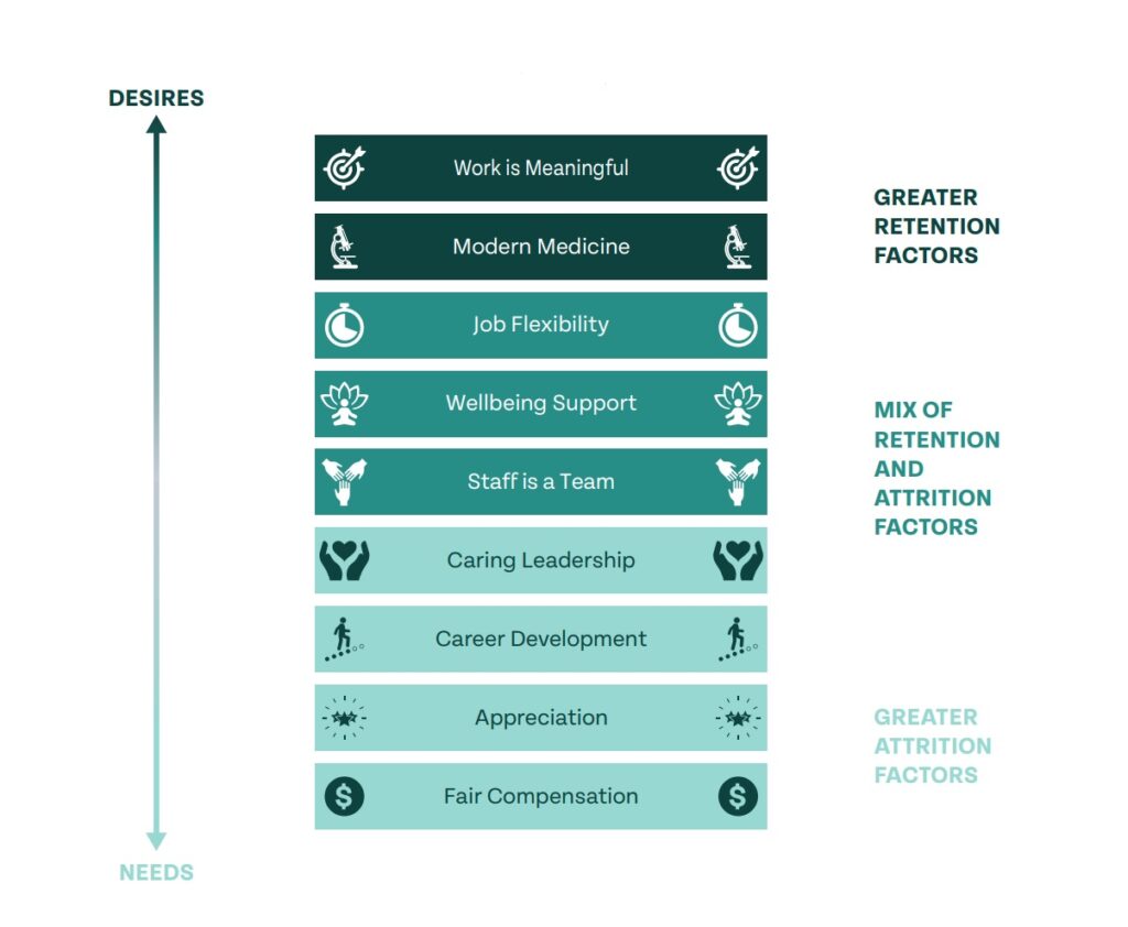 Veterinary hierarchy of needs