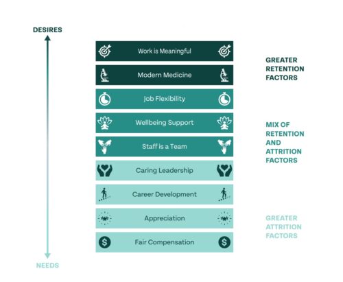 Veterinary hierarchy of needs