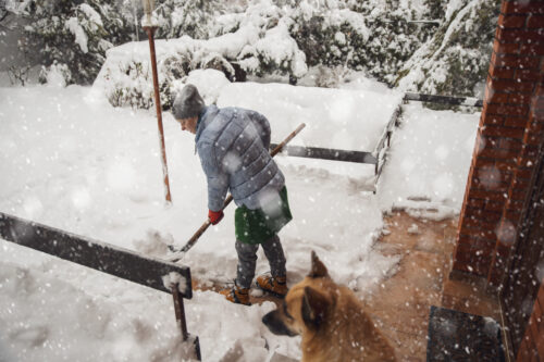 Woman in dog company Shovelling the snow from house doorstep. Snowfalling on cold Winter day