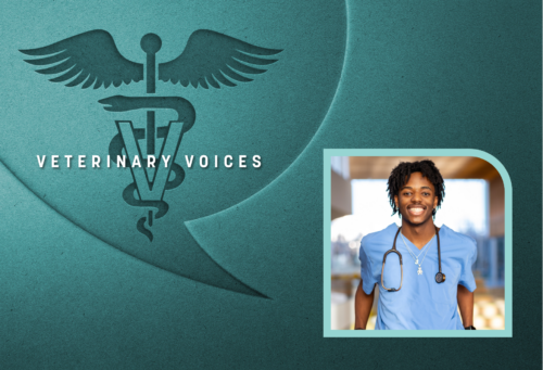 the veterinary aesculapius, a staff with a snake wrapped around it with wings at the top and a V overlying it inside a conversation bubble. A headshot of Jeremiah Pouncy where blue scrubs and a stethoscope to the right of the conversation bubble.