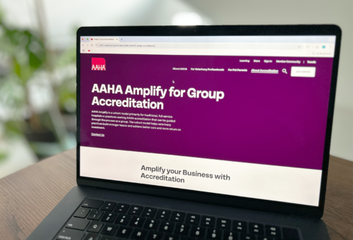 AAHA Amplify webpage pulled up on a computer screen