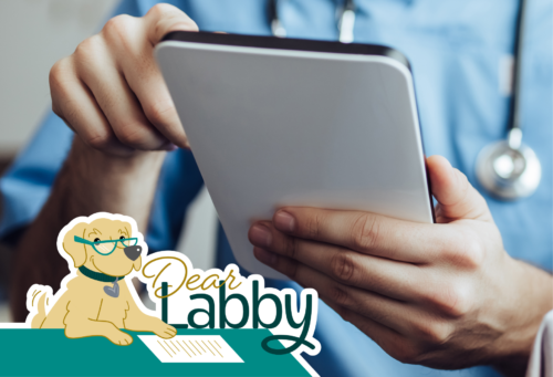 veterinarian holding a tablet with dear labby logo next to it