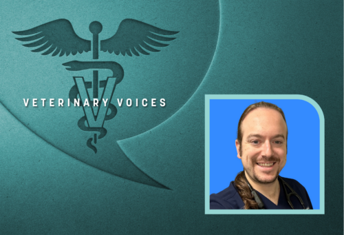 the veterinary aesculapius, a staff with a snake wrapped around it with wings at the top and a V overlying it inside a conversation bubble. A headshot of Josh Rosen wearing black scrubs and a stethoscope to the right of the conversation bubble.