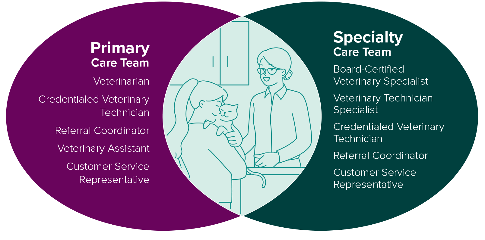 Graphic showing Veterinary teams and collaborative care