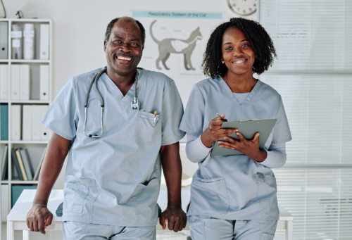 two workers in a vet hospital