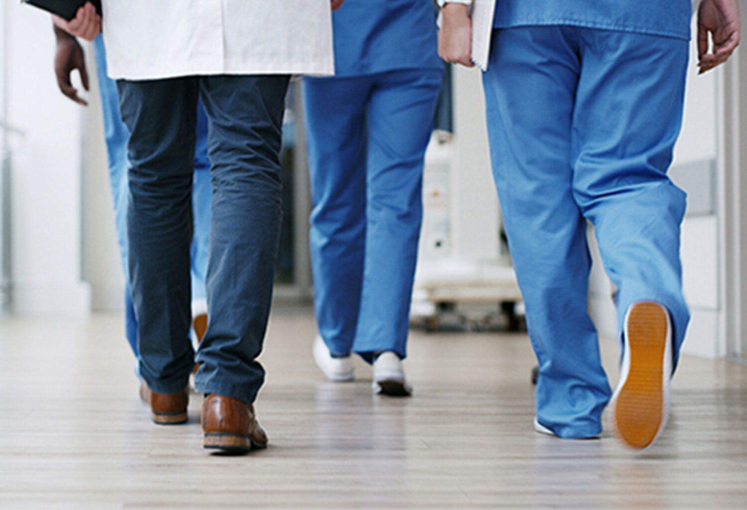 Vet professionals walking