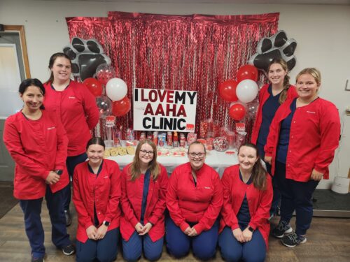 Veterinary staff celebrating AAHA Accreditation