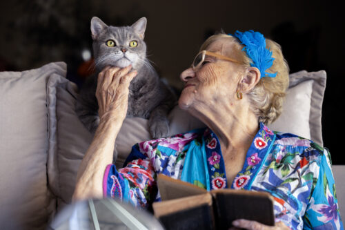 Old and well-groomed woman sitting on the sofa with her cat's. She's cat standing near. Feeling good, feeling young.75 is the new 25 - Staging the 100-year life