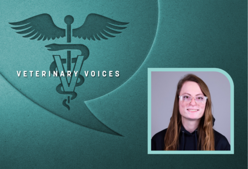 the veterinary aesculapius, a staff with a snake wrapped around it with wings at the top and a V overlying it inside a conversation bubble. A headshot of Christina Nau to the right of the conversation bubble.