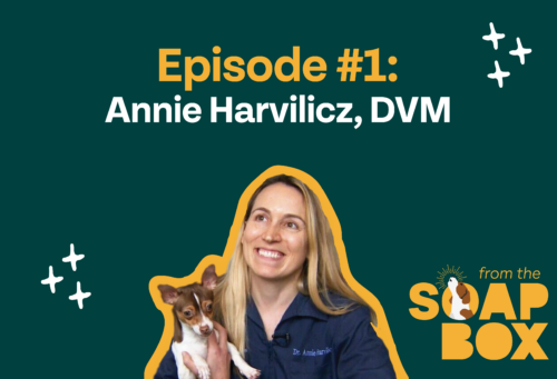 thumbnail of Dr. Annie Harvilicz on From the SOAP Box podcast