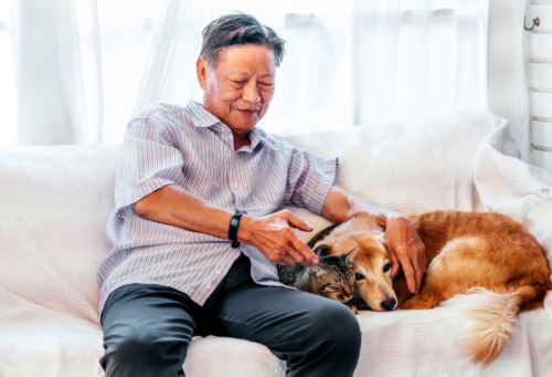 senior man with dog and cat on couch