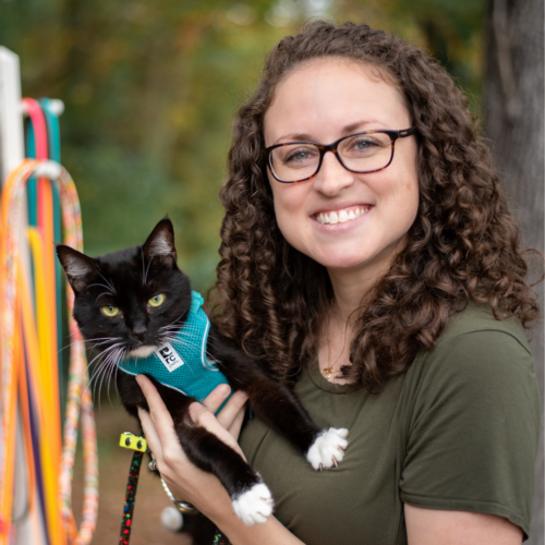Emily Hall, ABCCT headshot