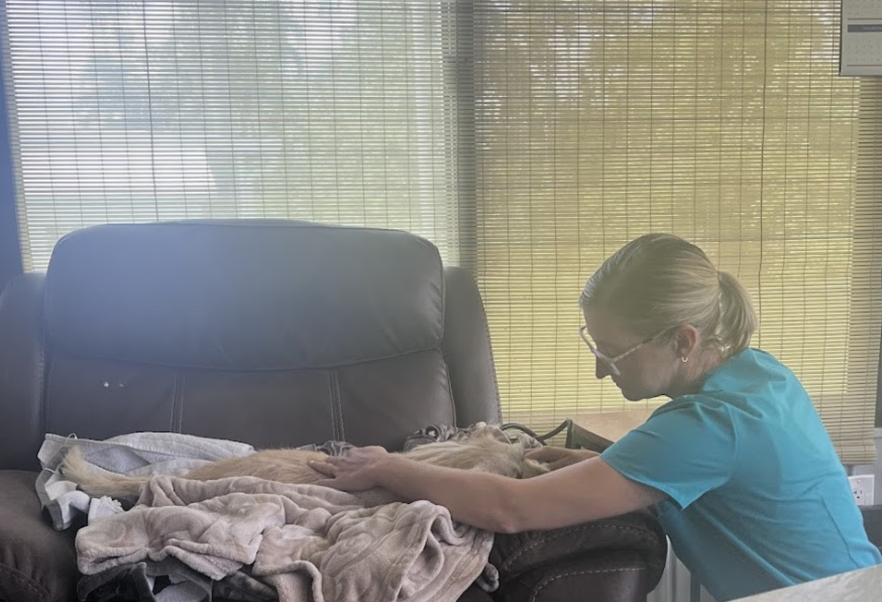 veterinarian helps senior patient in at-home appointment
