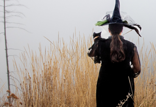 A witch holds a black cat in a field