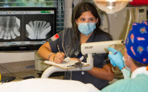 A dental assistant taking notes during an oral exam on a dog