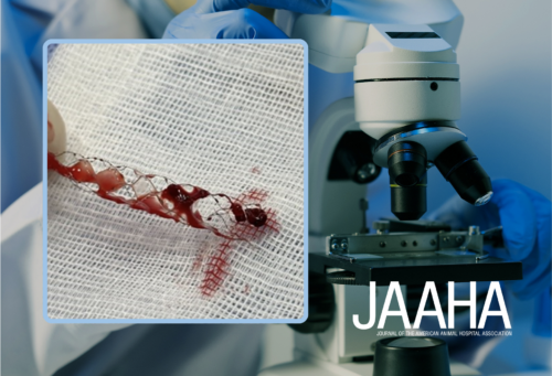 JAAHA logo with photo of Dark red thromboembolic material was captured within the stent-retriever device.
