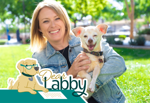 Robyn James poses with her pet chihuahua