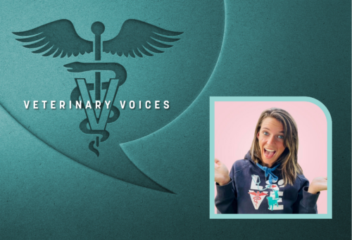 headshot of Sarah Parsons with a pink background next to the Veterinary Voices logo on a teal background