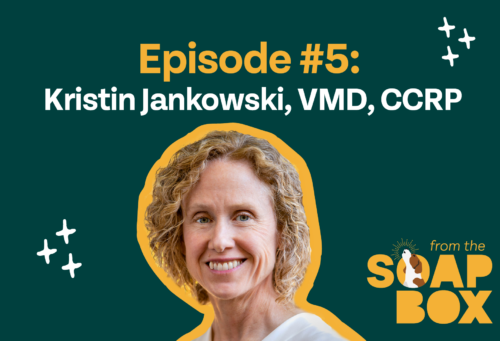 kristin jankowski thumbnail