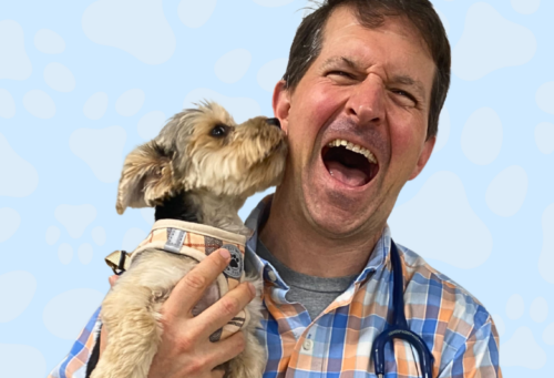 Veterinarian Andy Roark laughs while holding puppy